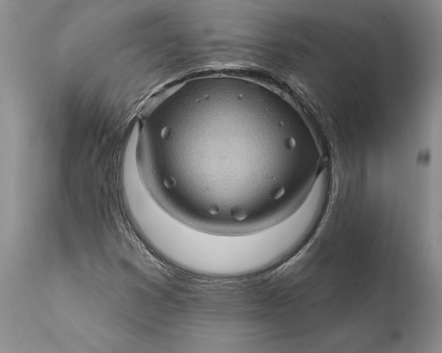 X0000112161353200908281354