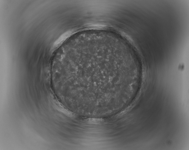 X0000112161354200908281354