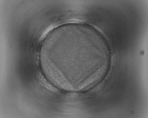 X0000112161355200908281354