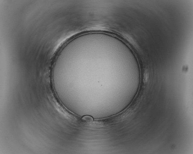 X0000112161356200908281354