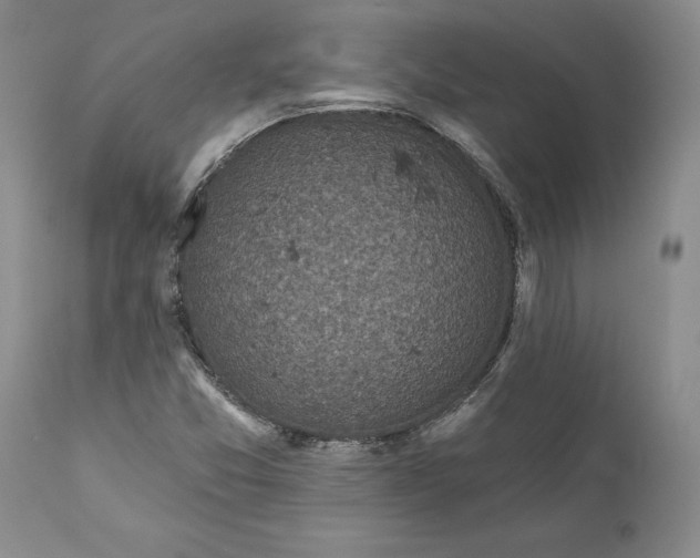 X0000112161357200908281354