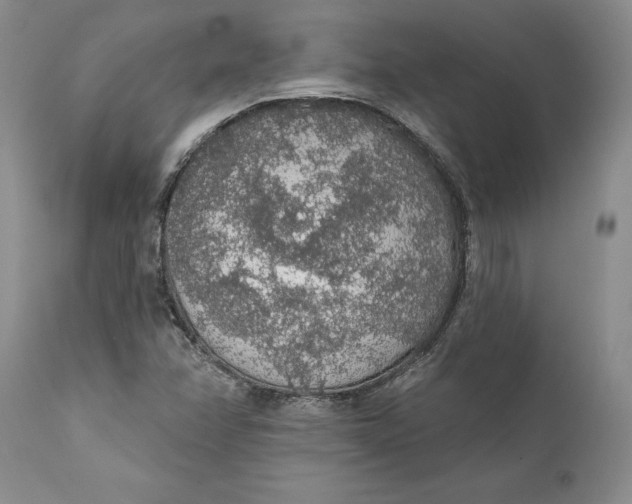 X0000112161358200908281354