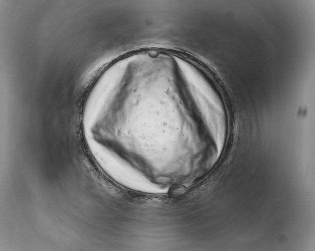 X0000112161359200908281354