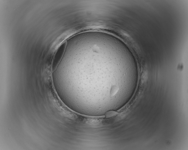 X0000112161361200908281354