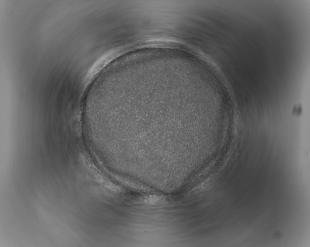 X0000112161362200908281354