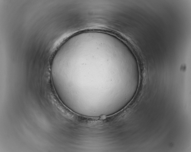 X0000112161363200908281354