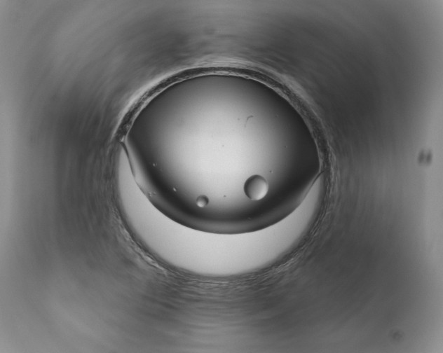 X0000112161364200908281353