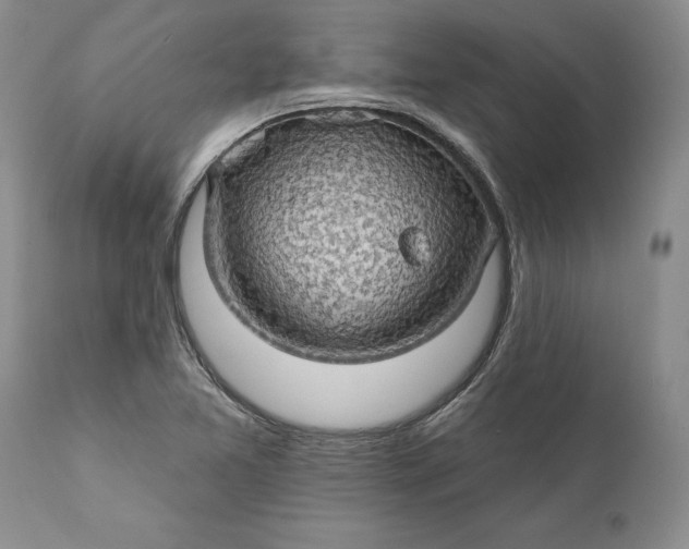 X0000112161365200908281353