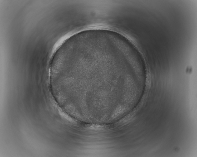 X0000112161366200908281353