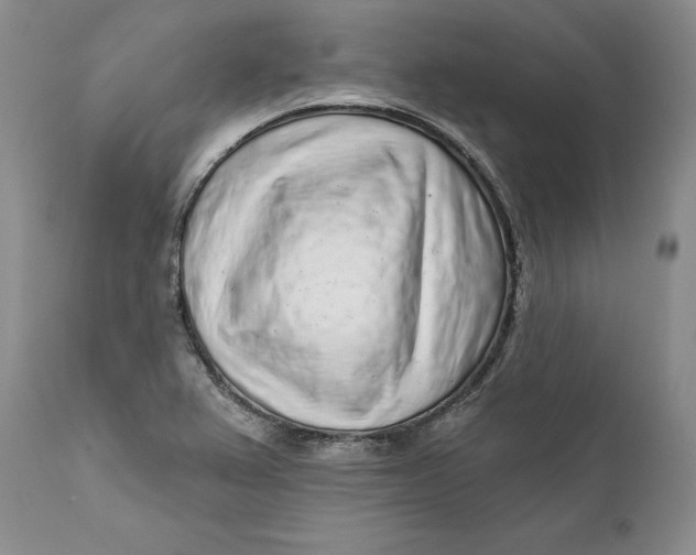 X0000112161367200908281353