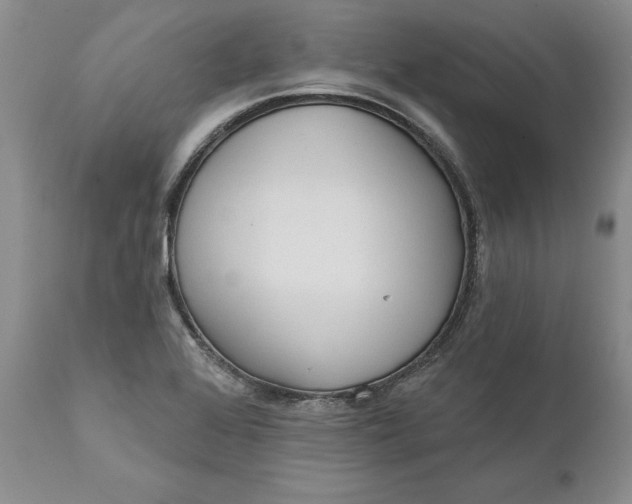 X0000112161368200908281353