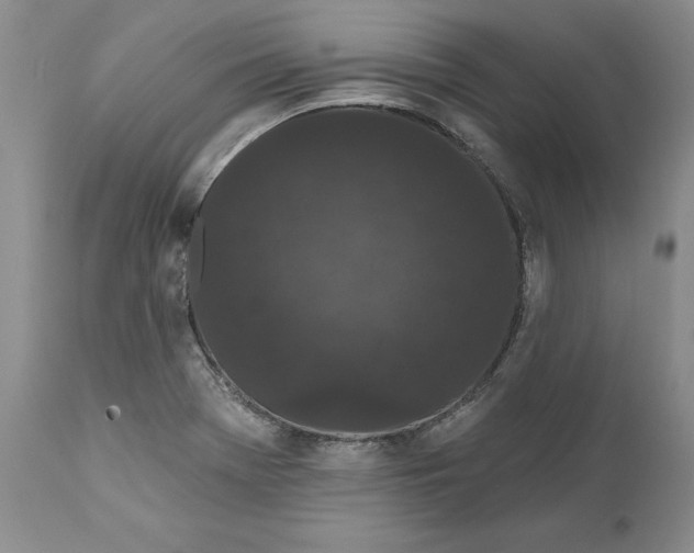 X0000112161369200908281353