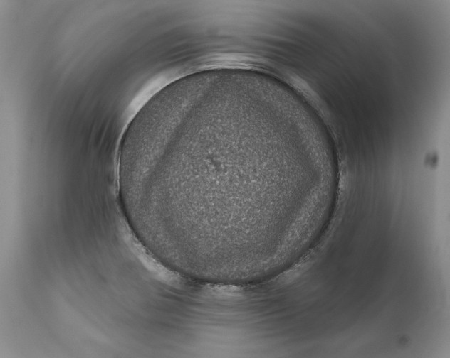 X0000112161370200908281353