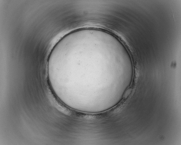 X0000112161371200908281353