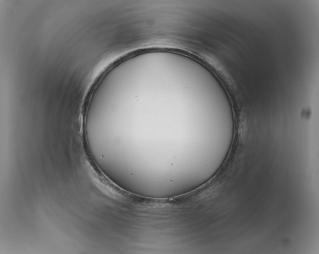 X0000112161372200908281353