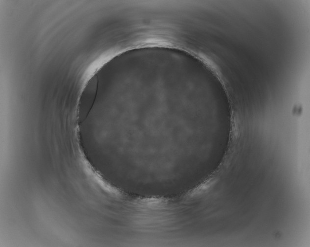 X0000112161373200908281353