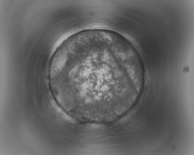 X0000112161374200908281353