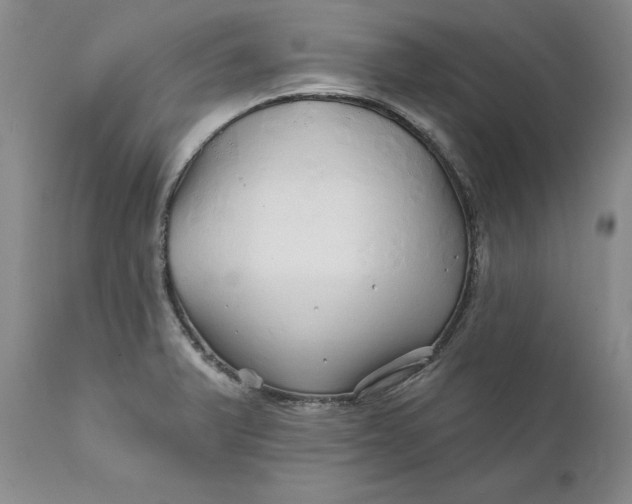 X0000112161375200908281353