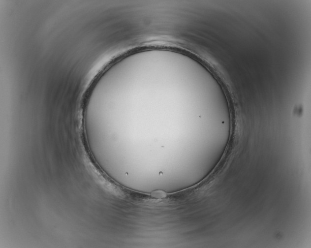 X0000112161376200908281353