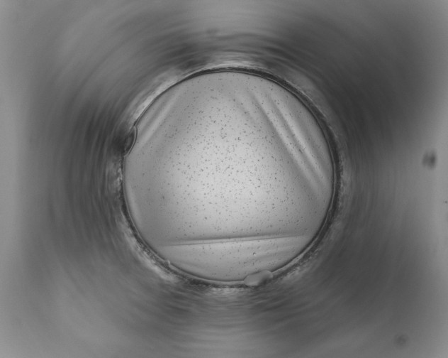 X0000112161377200908281353