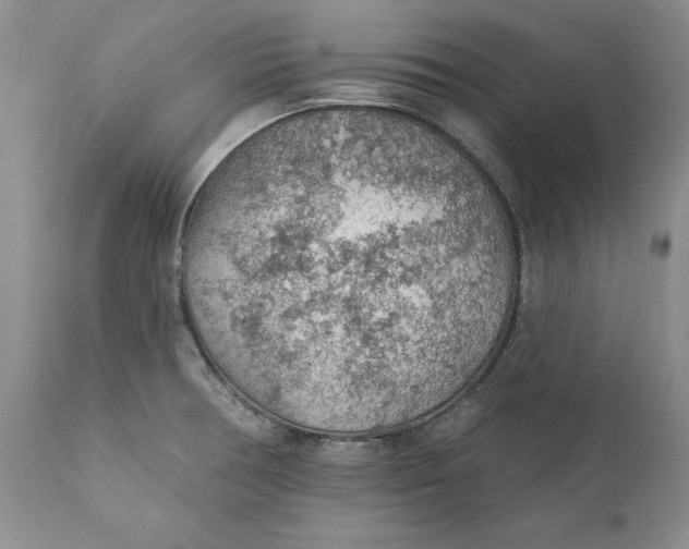 X0000112161378200908281353