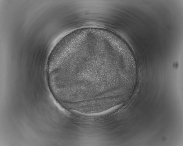 X0000112161379200908281353