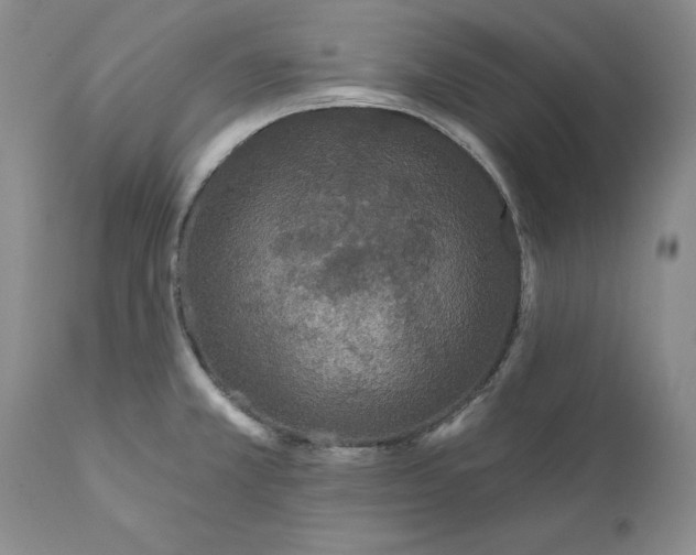 X0000112161381200908281353