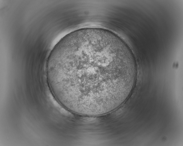 X0000112161382200908281353