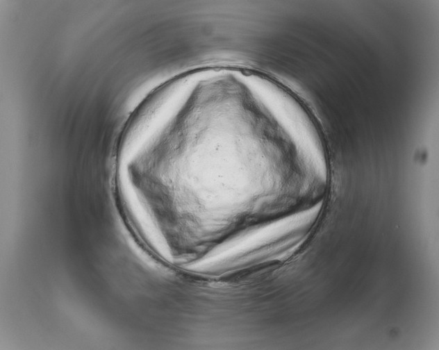 X0000112161383200908281353