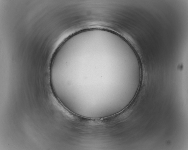 X0000112161384200908281353