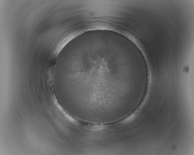 X0000112161385200908281353