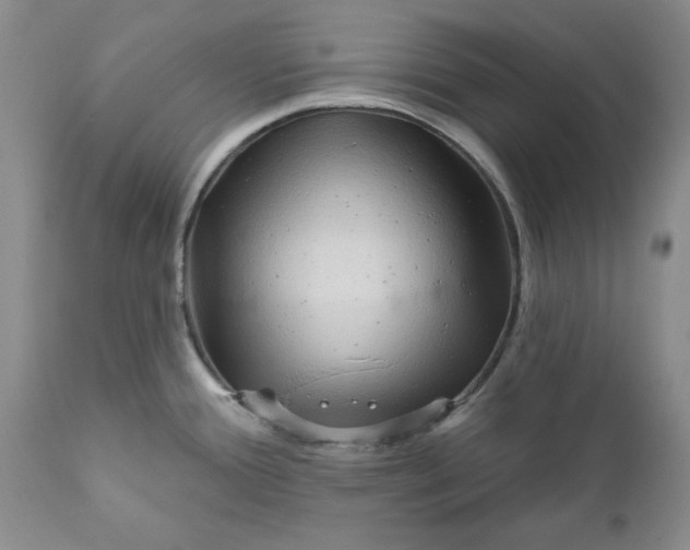 X0000112161388200908281353