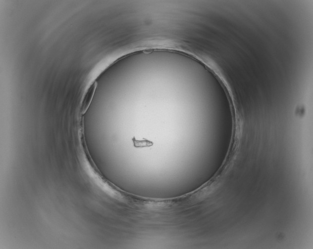 X0000112161389200908281353