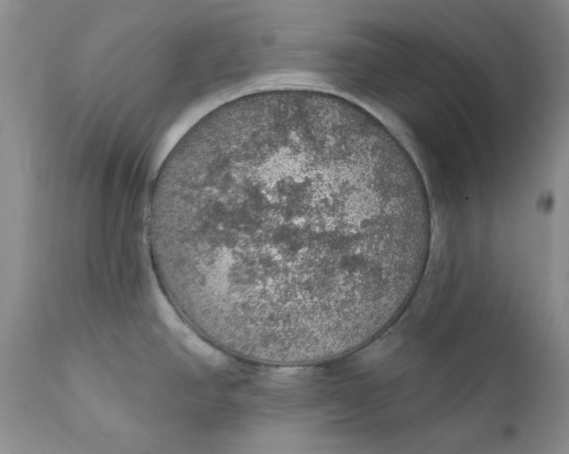 X0000112161390200908281353