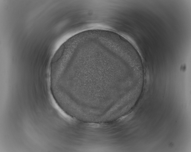 X0000112161391200908281353