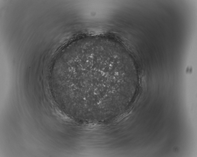 X0000112161393200908281352