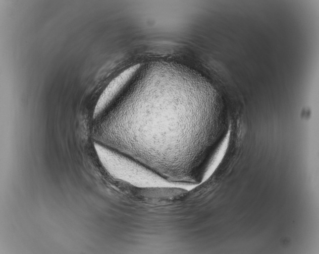 X0000112161394200908281352