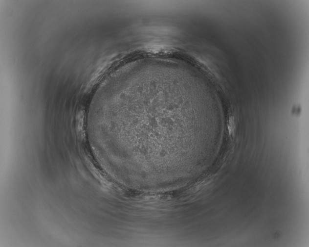 X0000112161396200908281352