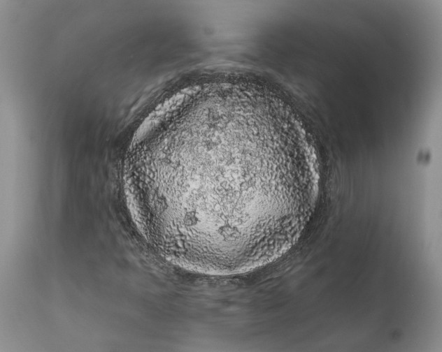 X0000112161397200908281352