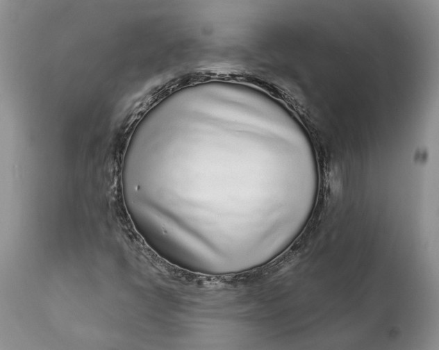 X0000112161398200908281352