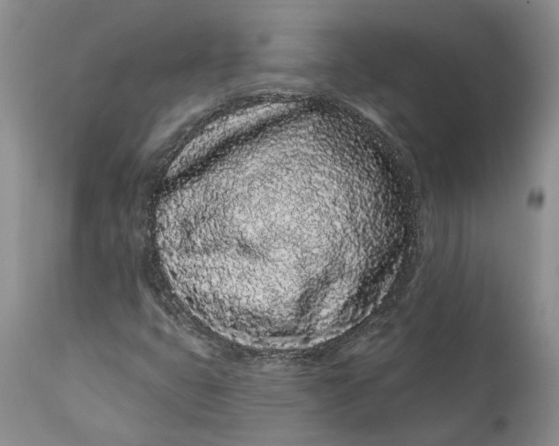 X0000112161399200908281352