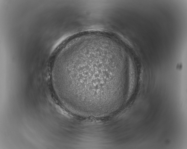 X0000112161400200908281352