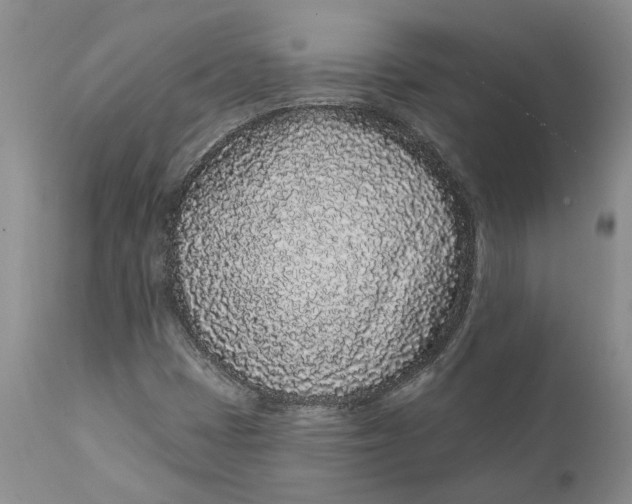 X0000112161401200908281352