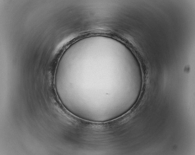 X0000112161402200908281352