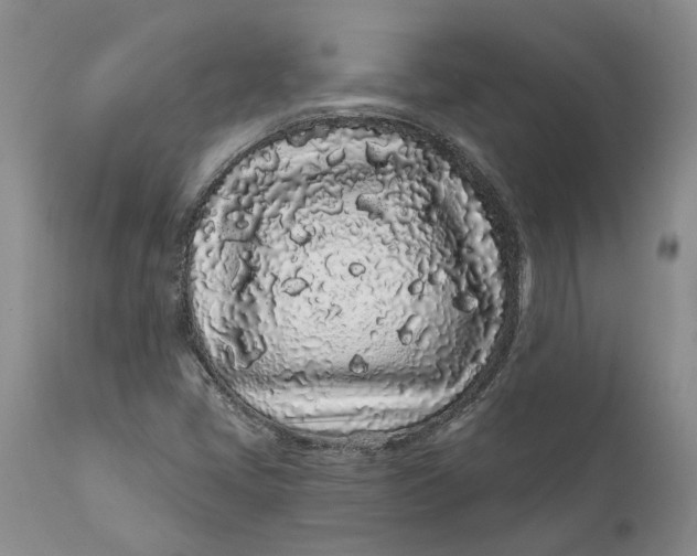 X0000112161405200908281352