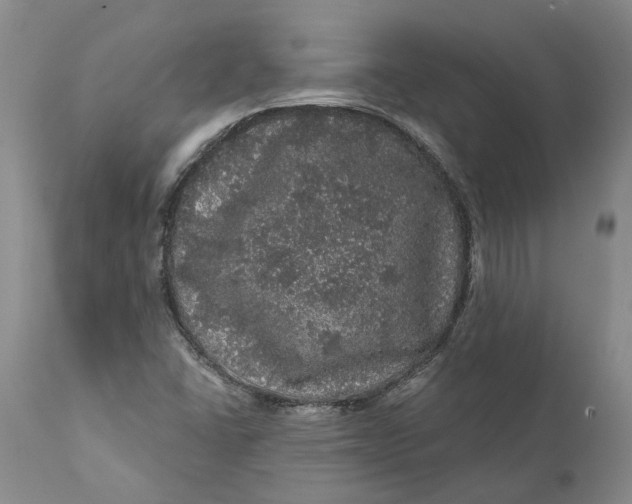 X0000112161406200908281352