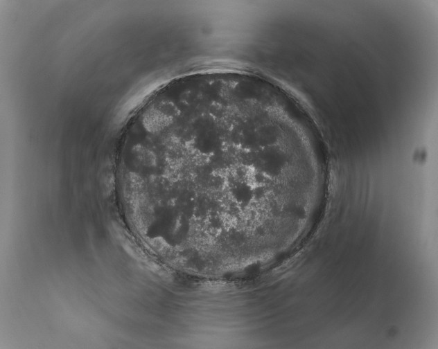 X0000112161407200908281352