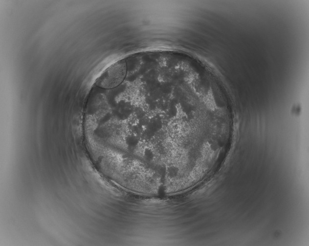 X0000112161409200908281352