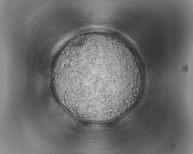 X0000112161411200908281352