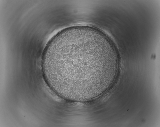 X0000112161412200908281352